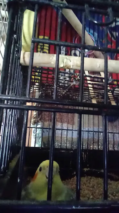 Branch Hill Mobile Home Park Picture 9