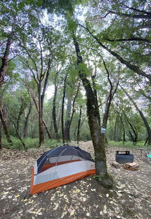 Oak Bottom Campground Picture 2