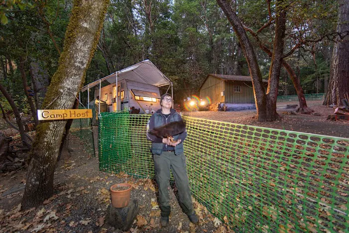 Oak Bottom Campground Picture 8
