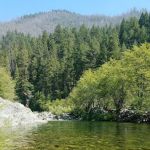 Butler Creek River Access