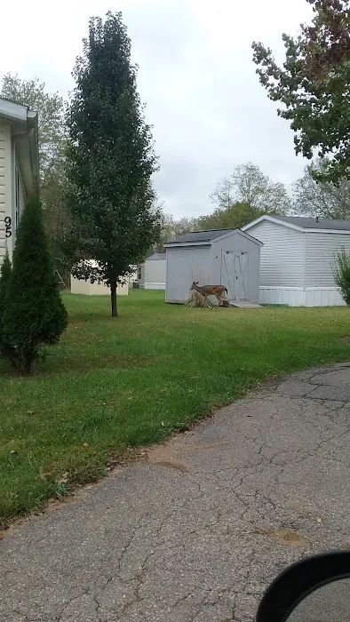 Forest Creek Mobile Home Park Picture 2