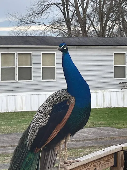 Forest Creek Mobile Home Park Picture 1