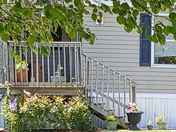 Forest Creek Mobile Home Park Picture 6