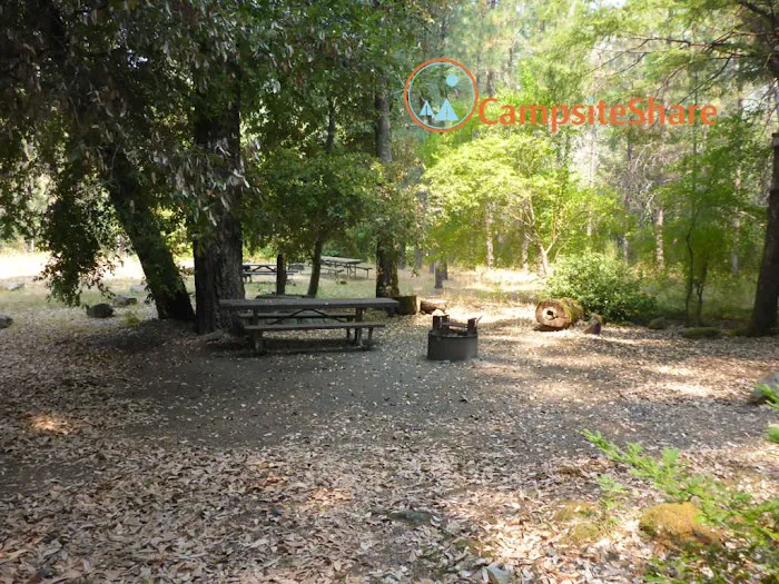 Pearch Creek Campground Picture 2