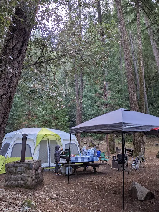 Pearch Creek Campground Picture 4