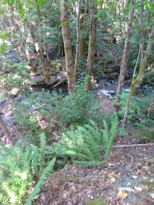 Pearch Creek Campground Picture 7