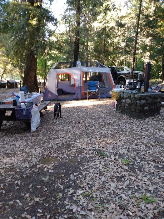 Pearch Creek Campground Picture 6