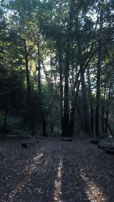 Pearch Creek Campground Picture 5