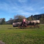 Stone Lagoon Red Schoolhouse
