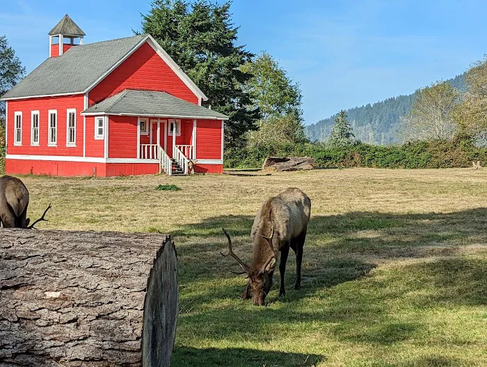 Elk Country RV Resort & Campground Picture 6