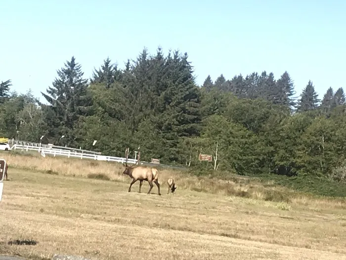 Elk Country RV Resort & Campground Picture 2