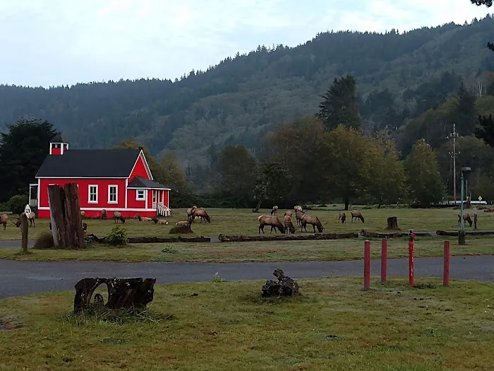 Elk Country RV Resort & Campground Picture 7