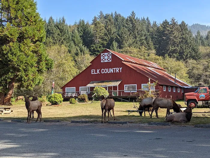 Elk Country RV Resort & Campground Picture 5