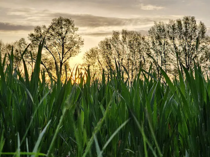 Felicity Estates, llc Picture 2