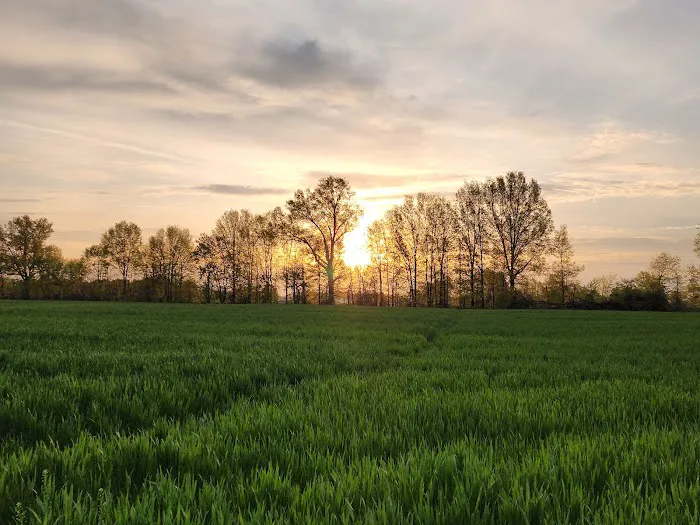 Felicity Estates, llc Picture 3