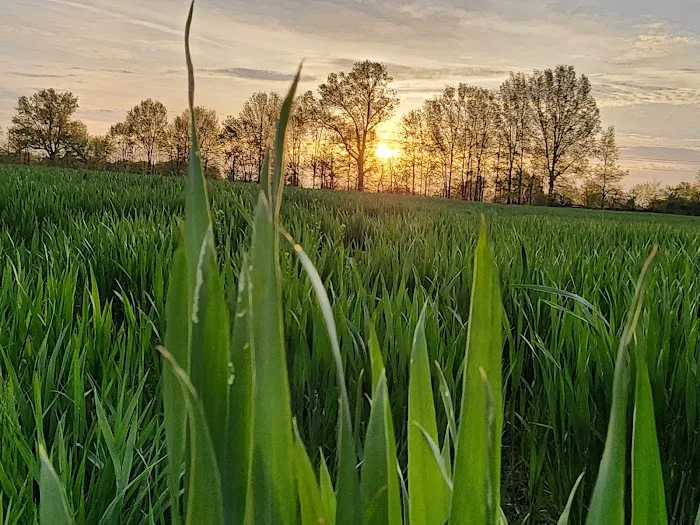 Felicity Estates, llc Picture 1