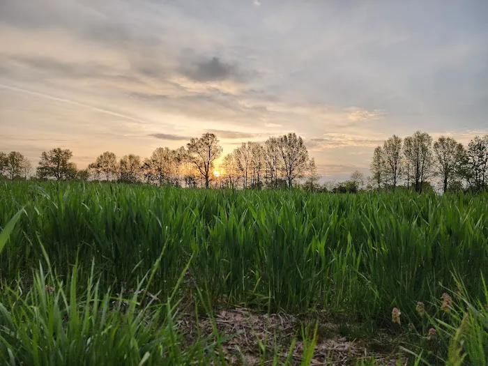 Felicity Estates, llc Picture 4