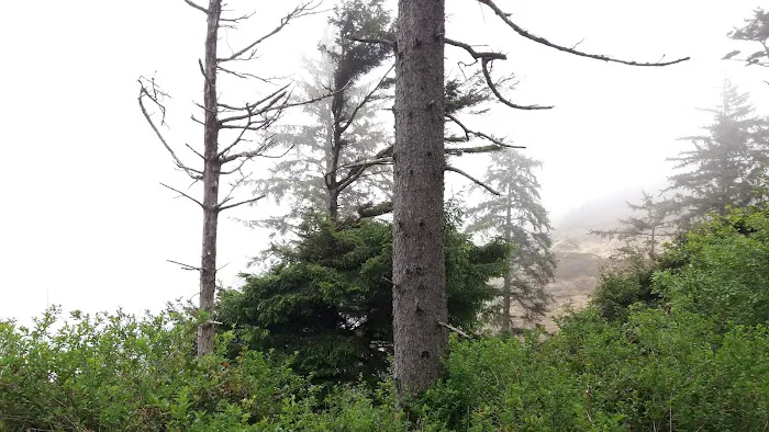 Agate Campground Picture 1