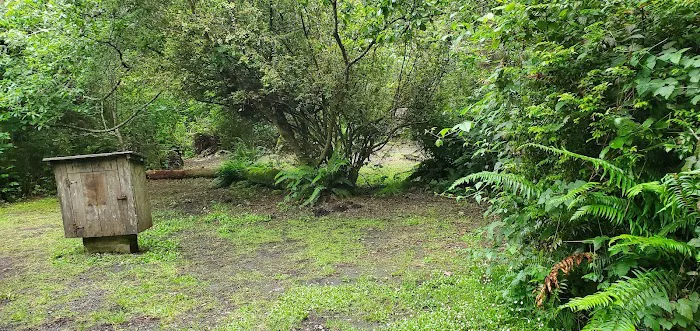 Penn Creek Campground Picture 8