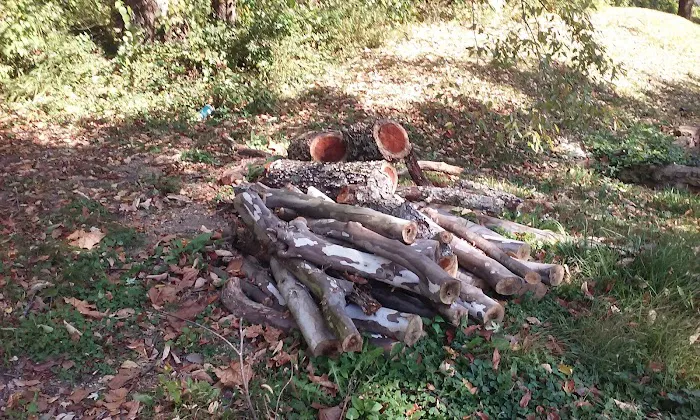 Elephant Hill Mobile Home Park Picture 1