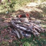 Elephant Hill Mobile Home Park