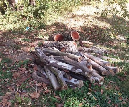 Elephant Hill Mobile Home Park