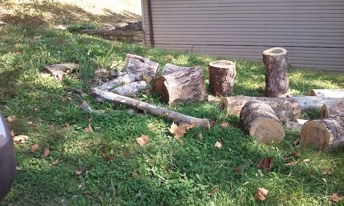 Elephant Hill Mobile Home Park Picture 4