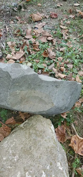 Elephant Hill Mobile Home Park Picture 5