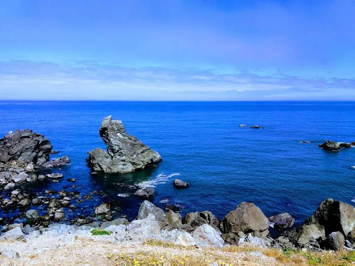 Abalone Campground Picture 4