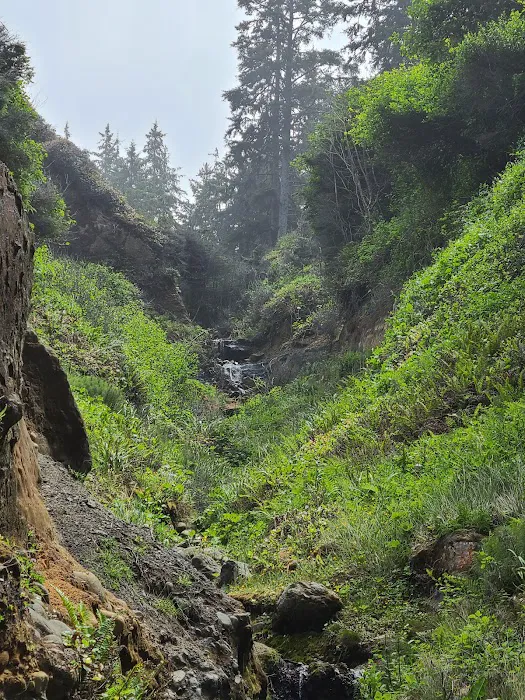 Abalone Campground Picture 9