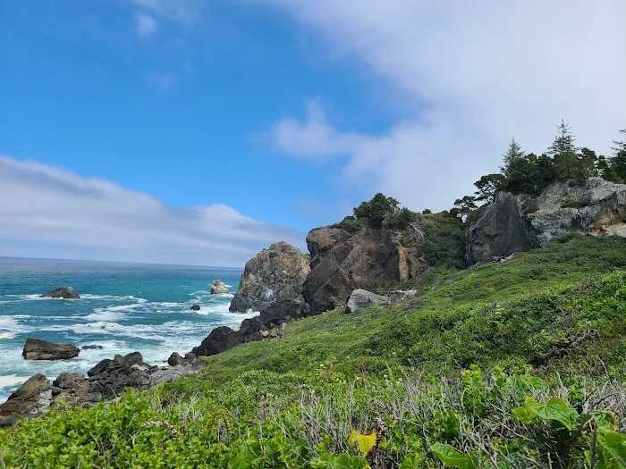 Abalone Campground Picture 6
