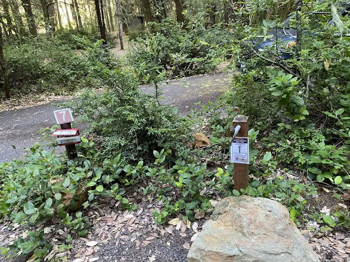 FISH LAKE CAMPGROUND Picture 7