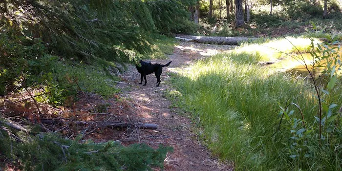 FISH LAKE CAMPGROUND Picture 2