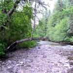 Trout Creek Campground