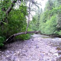 Trout Creek Campground ico