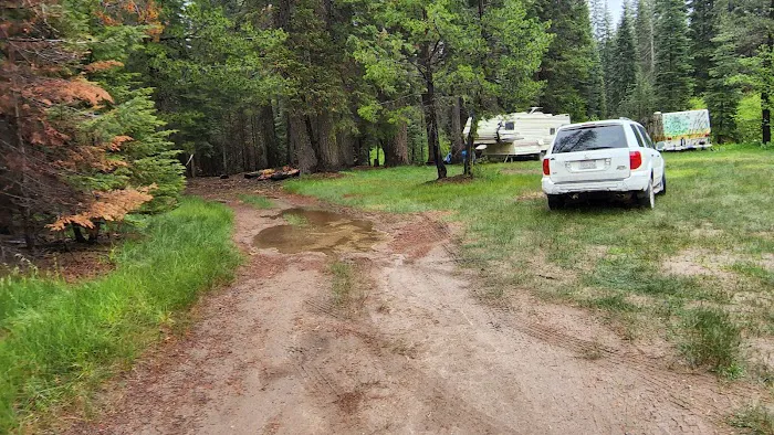 Trout Creek Campground Picture 7