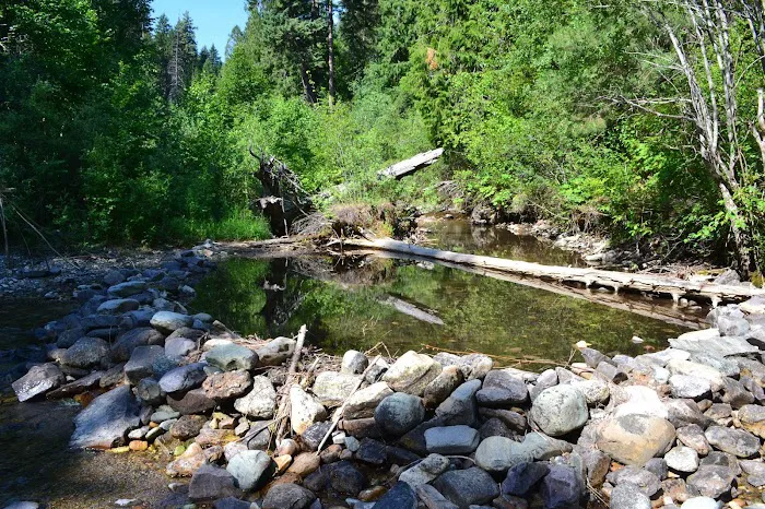 Trout Creek Campground Picture 4