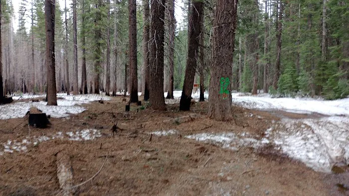 Trout Creek Campground Picture 5