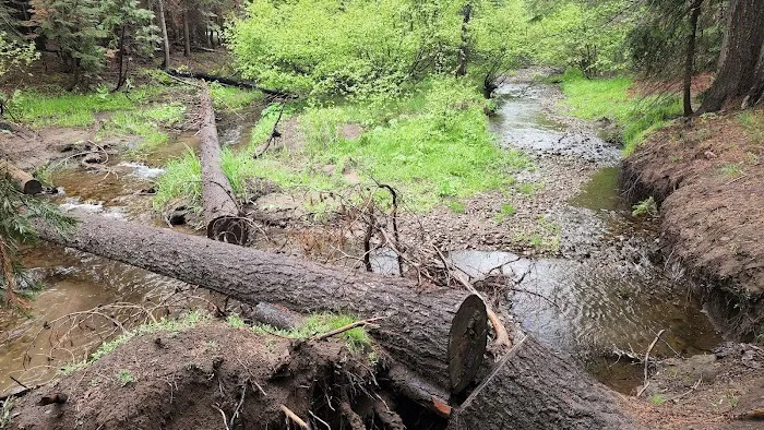 Trout Creek Campground Picture 6