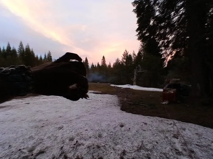 Trout Creek Campground Picture 2