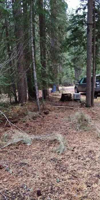 Harris Spring Campground Picture 2