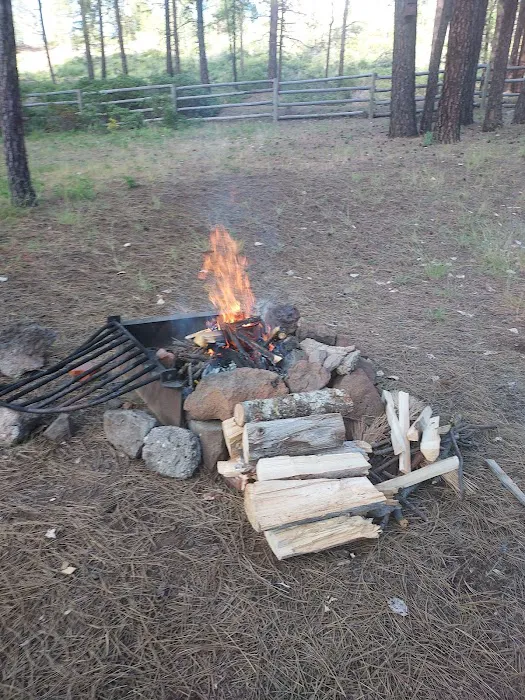 Topsy Campground Picture 7