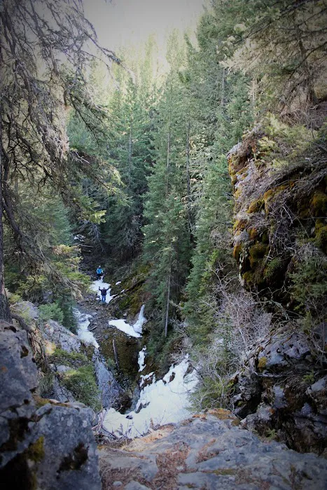 Mill Falls Campground Picture 3