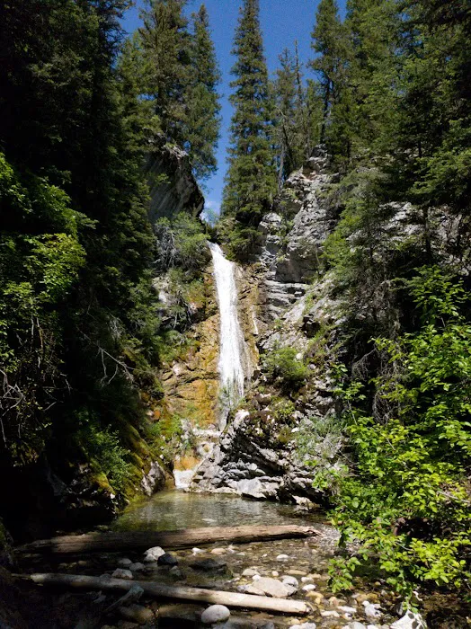 Mill Falls Campground Picture 4