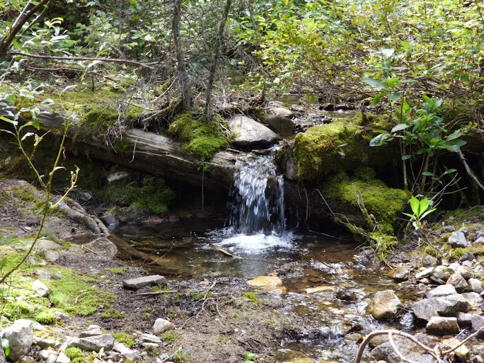 Mill Falls Campground Picture 2