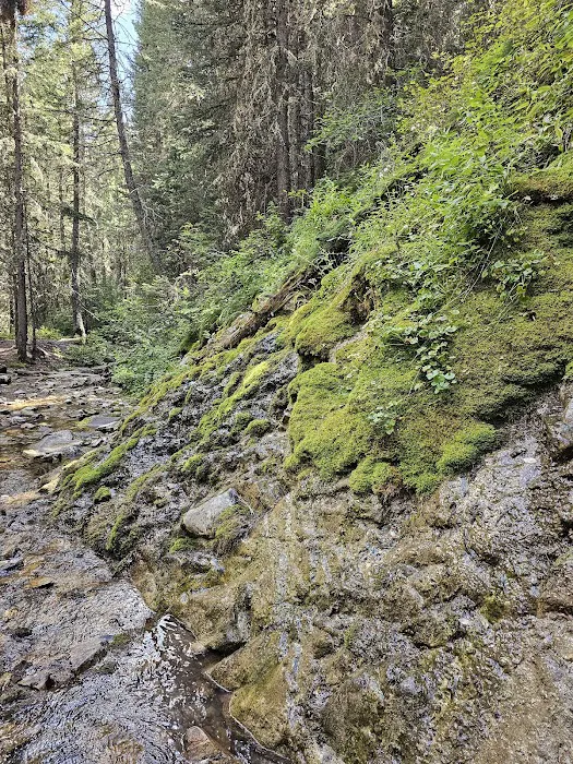 Mill Falls Campground Picture 5