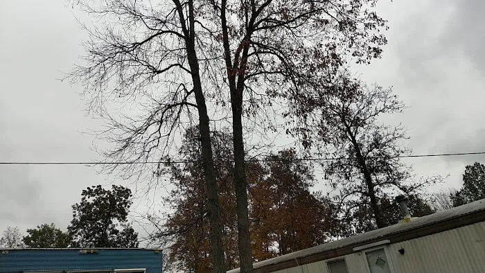 Tall Timbers Mobile Home Park Picture 2