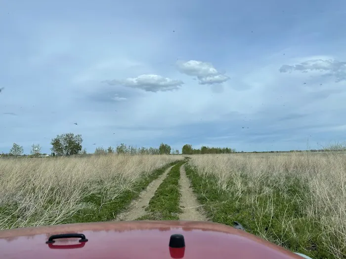 Lake Frances Campground Picture 3