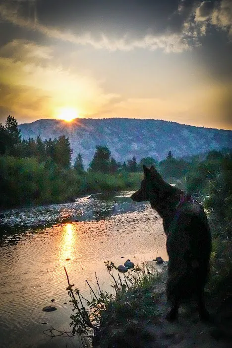 Home Gulch Campground Picture 3