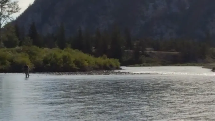 Home Gulch Campground Picture 7